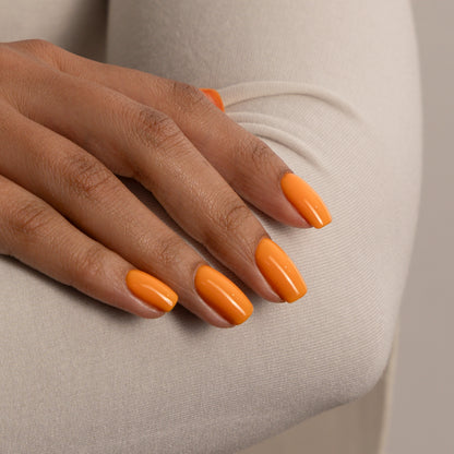 196 Marisol - Colour Gel