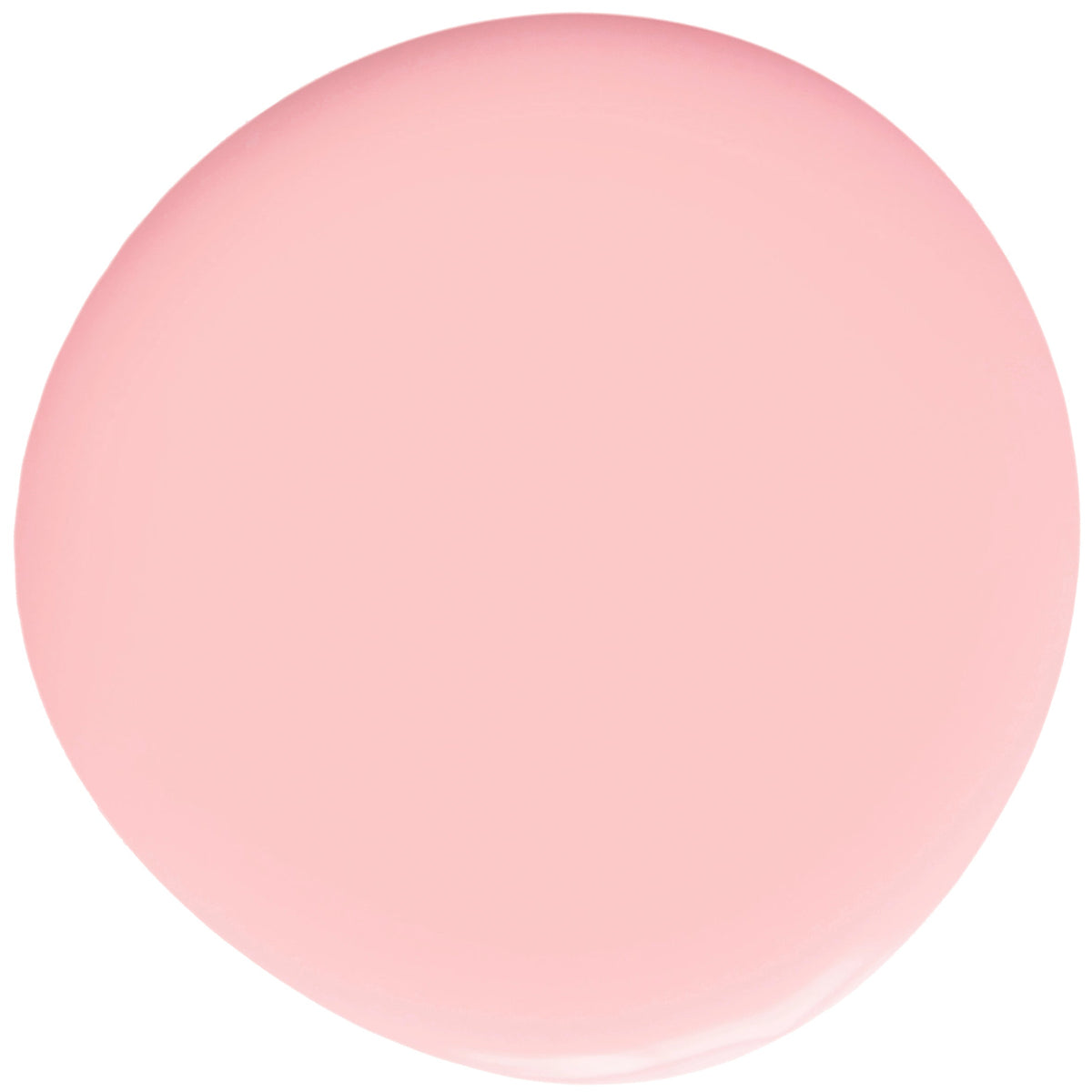 079 Bella – Farbfläche