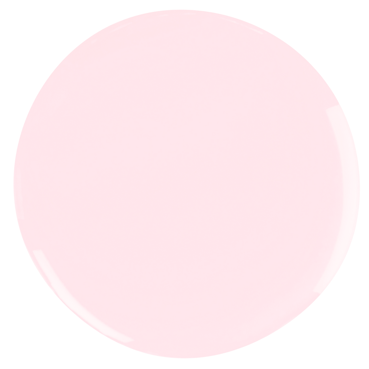 0204 Rosalie – Farbfläche